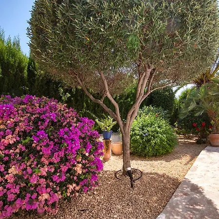 Lagarta Villa *