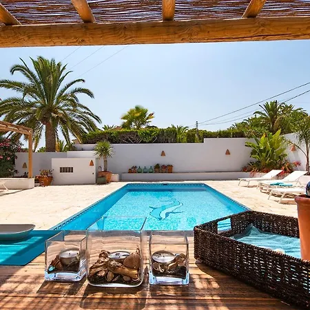 Lagarta Moraira